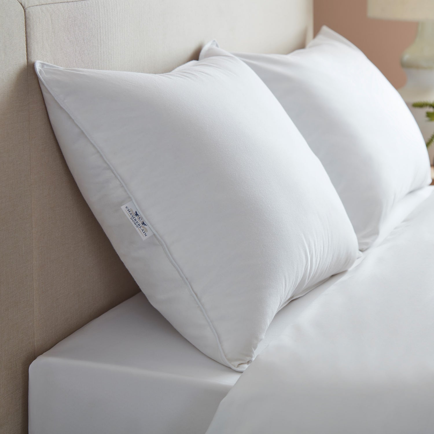 Chamberlain Down Pillow on bed