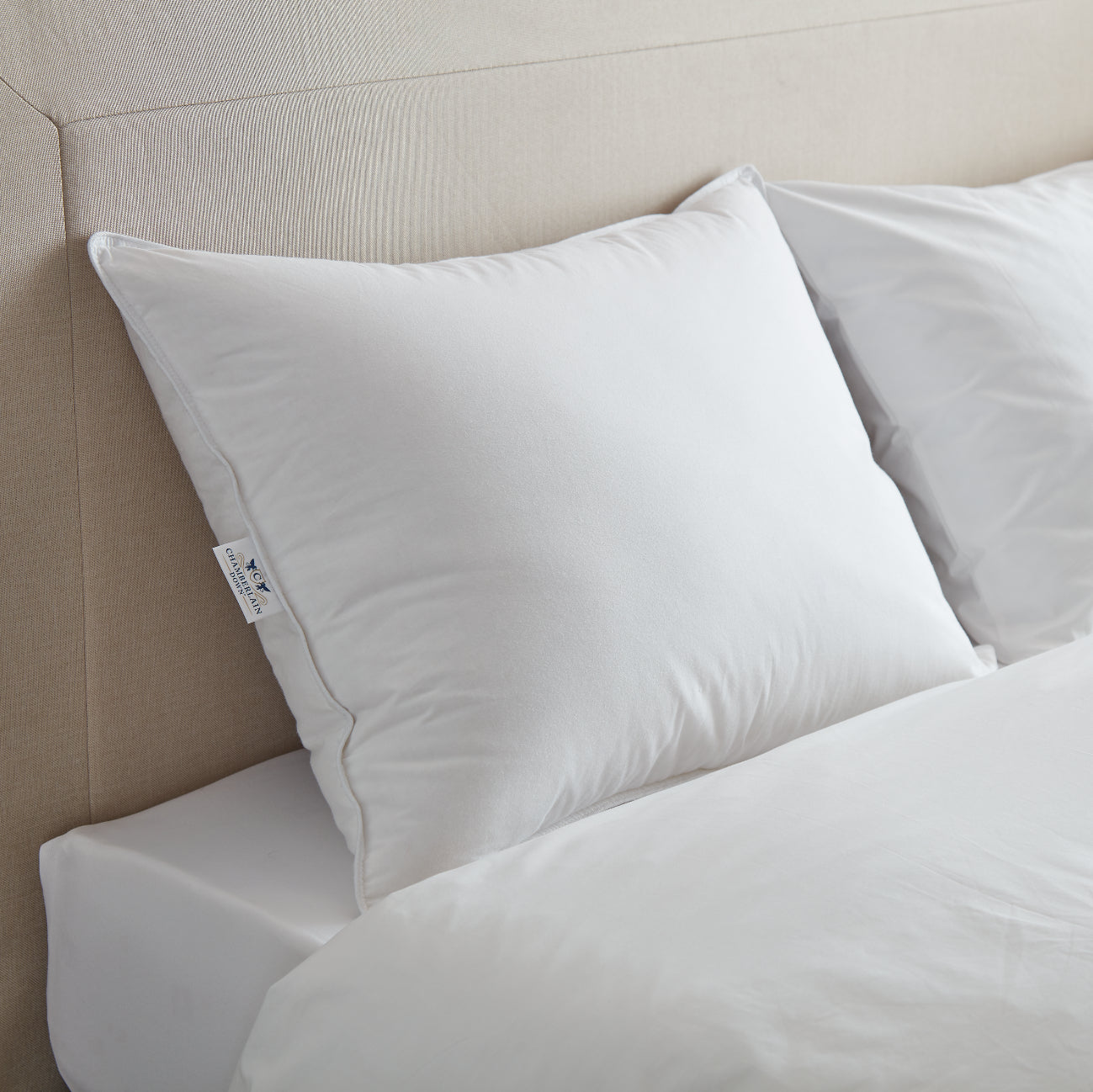 Chamberlain Down Pillow Profile Picture